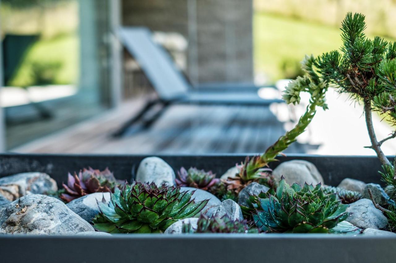 Luxury Panorama Apartment With Alpengold Spa Access Davos Exterior foto
